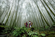 VNAT releases video featuring Vietnam tourism on YouTube
